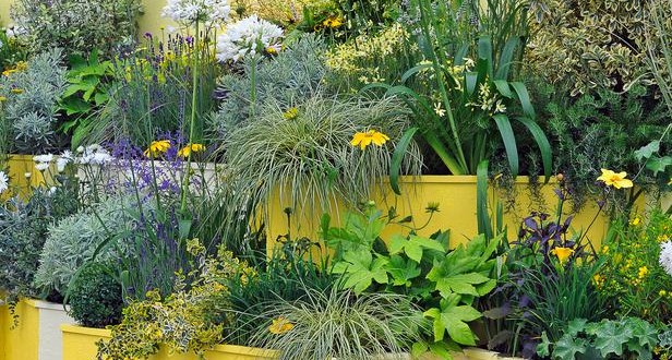 How to Gardening in Small Spaces