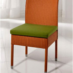 Green Cushion on Modern Dining Room Chair