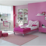 Girls Bedroom Decoration with Pink Wall Painting Inspiration